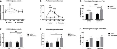 Role of Spinal Cord α2-Adrenoreceptors in Noradrenergic Inhibition of Nociceptive Transmission During Chemotherapy-Induced Peripheral Neuropathy